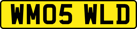 WM05WLD