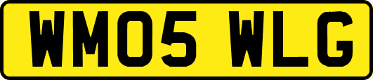 WM05WLG