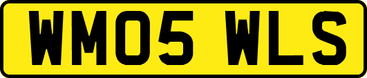 WM05WLS