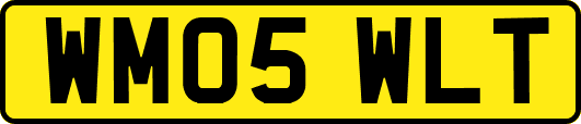 WM05WLT