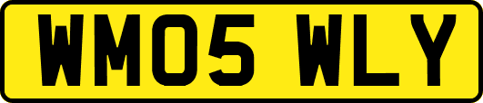 WM05WLY