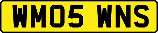 WM05WNS
