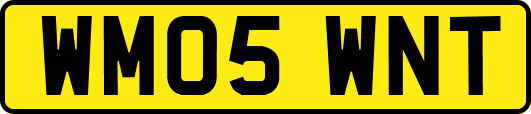 WM05WNT