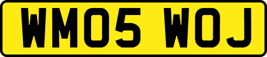 WM05WOJ