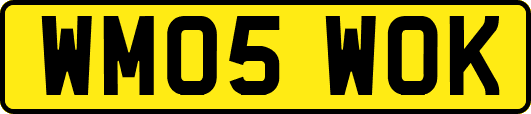 WM05WOK