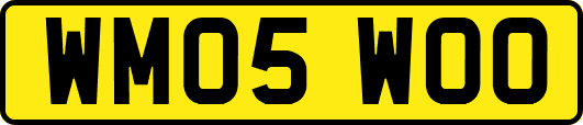 WM05WOO