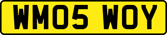 WM05WOY