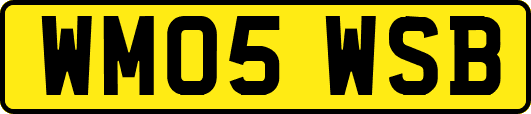 WM05WSB