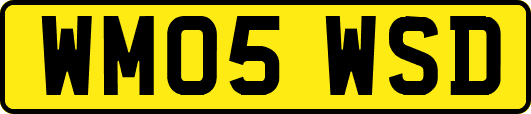 WM05WSD