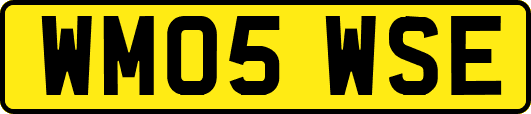 WM05WSE