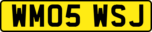 WM05WSJ