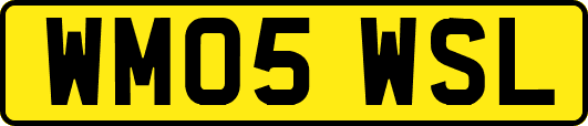WM05WSL