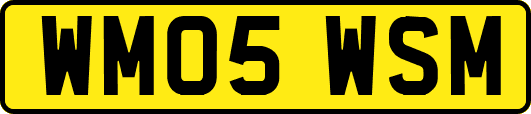 WM05WSM