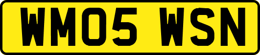 WM05WSN