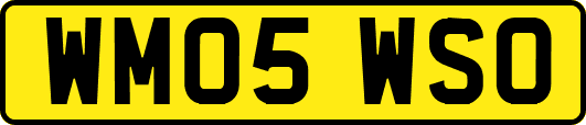 WM05WSO