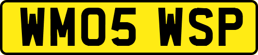 WM05WSP
