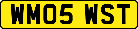 WM05WST