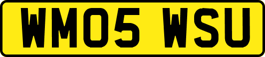 WM05WSU