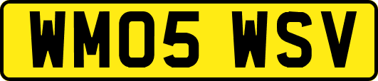 WM05WSV