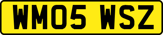 WM05WSZ