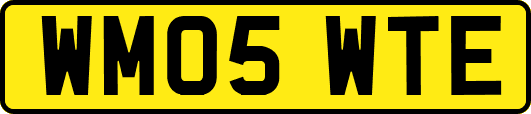 WM05WTE