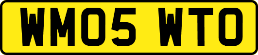 WM05WTO