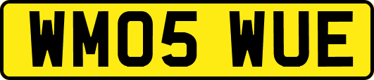 WM05WUE