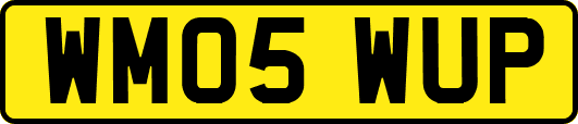 WM05WUP