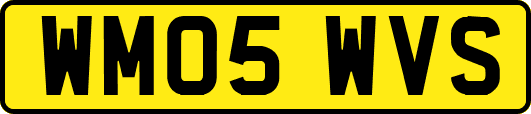 WM05WVS