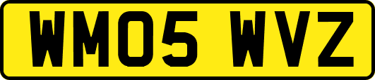 WM05WVZ
