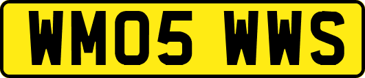 WM05WWS