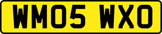 WM05WXO