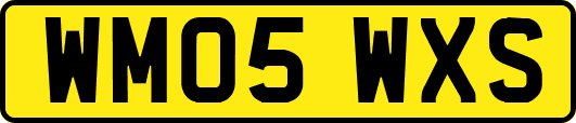 WM05WXS
