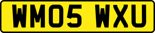 WM05WXU