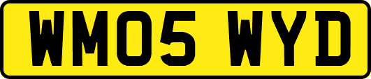 WM05WYD
