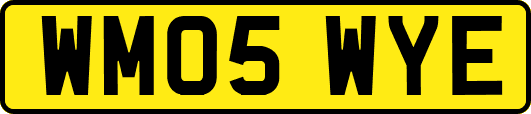 WM05WYE