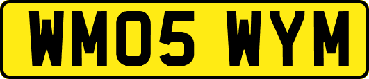 WM05WYM