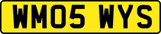 WM05WYS