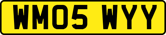 WM05WYY