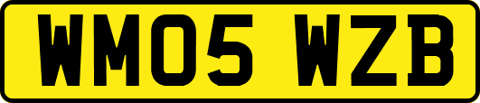 WM05WZB