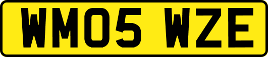 WM05WZE