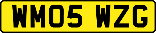 WM05WZG