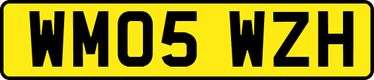 WM05WZH