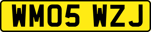 WM05WZJ