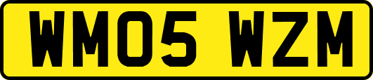 WM05WZM