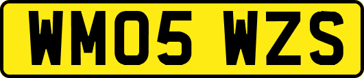 WM05WZS