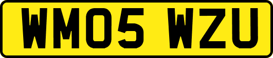 WM05WZU