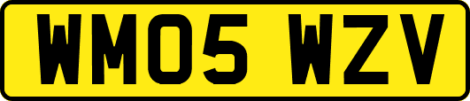 WM05WZV