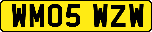WM05WZW