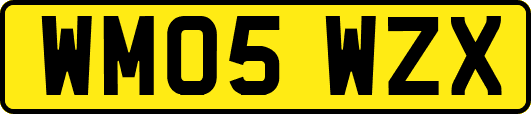 WM05WZX